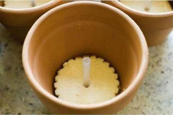 Potted Plant Dessert (20 pics)