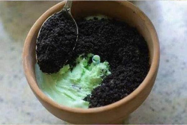 Potted Plant Dessert (20 pics)