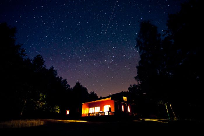 Photos by Julien Mauve (99 pics)