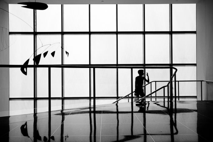 Photos by Julien Mauve (99 pics)