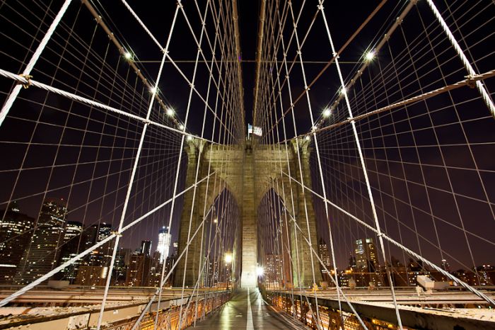 Photos by Julien Mauve (99 pics)