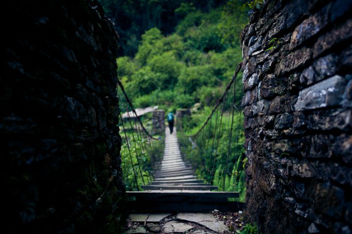 Photos by Julien Mauve (99 pics)