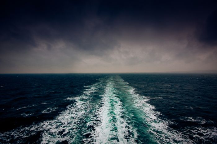 Photos by Julien Mauve (99 pics)