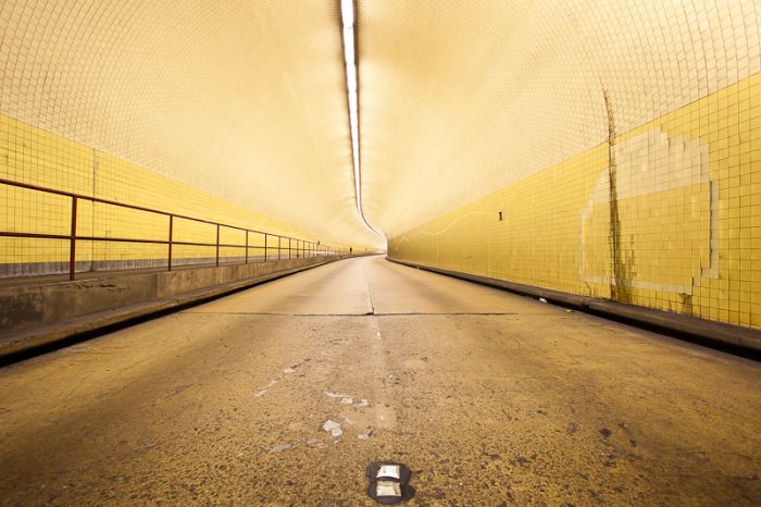 Photos by Julien Mauve (99 pics)