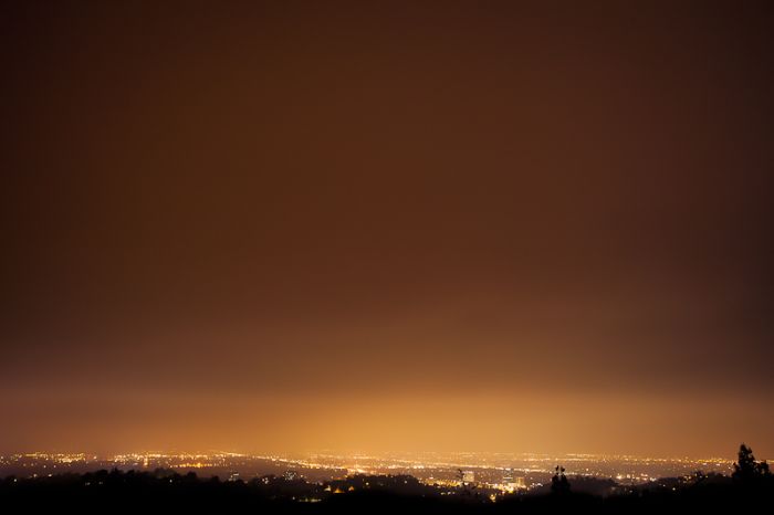 Photos by Julien Mauve (99 pics)