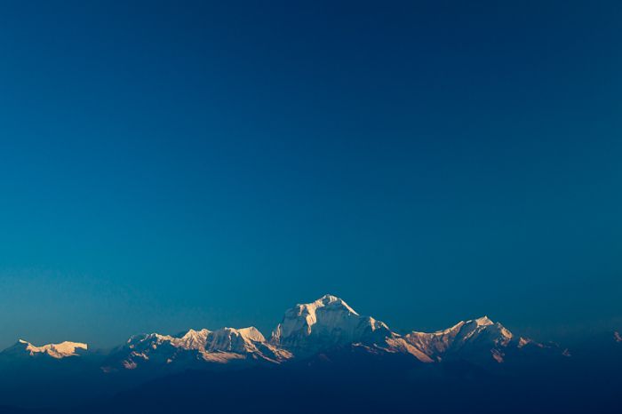Photos by Julien Mauve (99 pics)