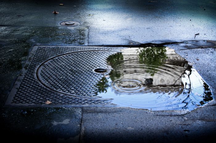 Photos by Julien Mauve (99 pics)