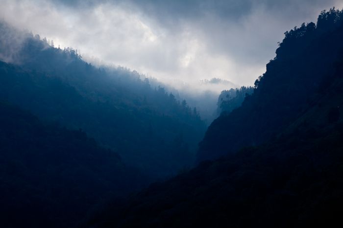 Photos by Julien Mauve (99 pics)