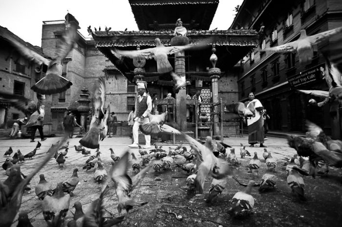 Photos by Julien Mauve (99 pics)