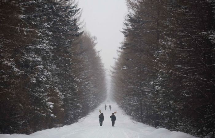 Random Pictures of North Korea (37 pics)