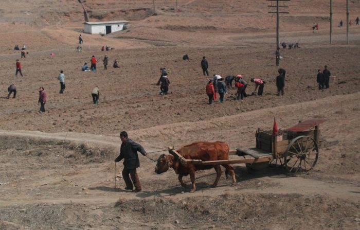 Random Pictures of North Korea (37 pics)