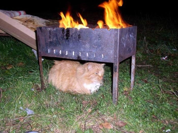 Acid Picdump (126 pics)