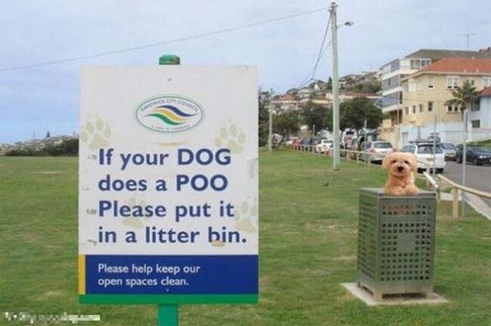 Acid Picdump (126 pics)