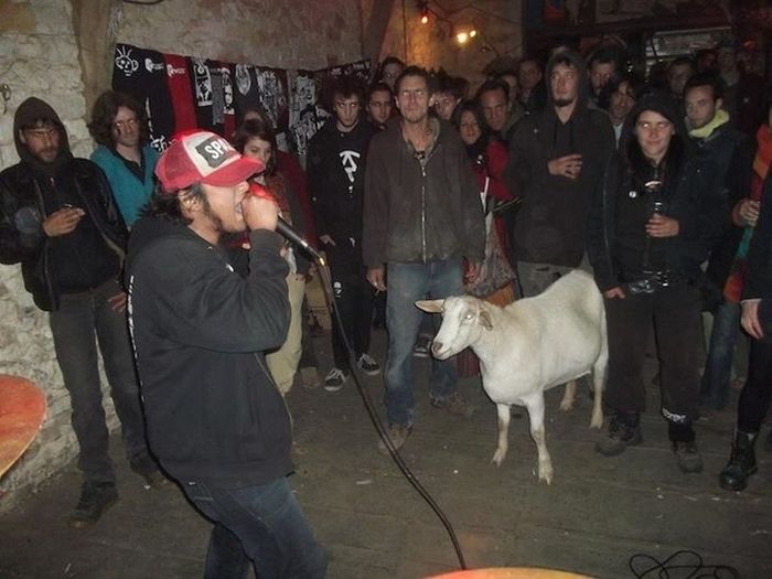 Acid Picdump (126 pics)