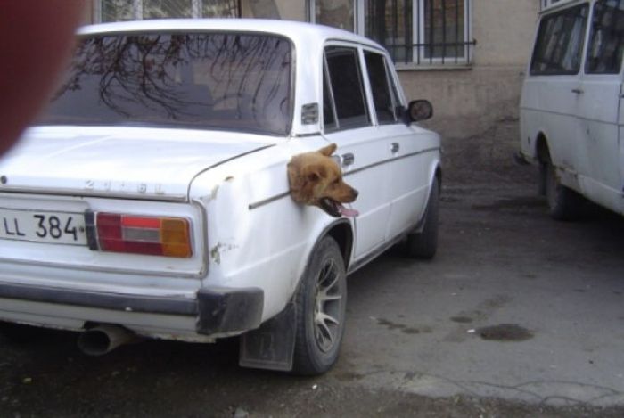 Acid Picdump (126 pics)