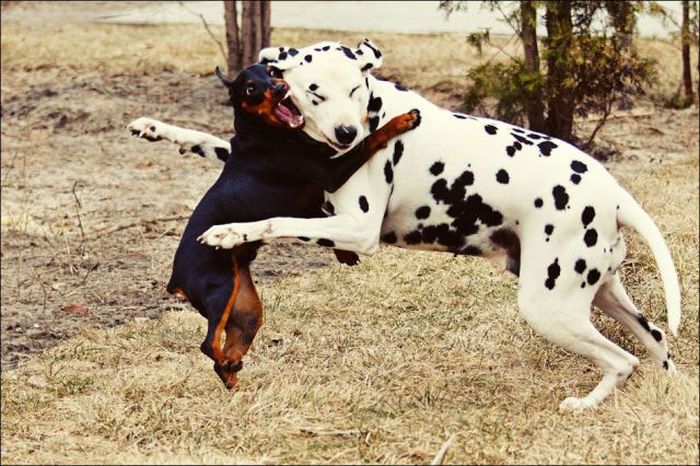 Acid Picdump (126 pics)