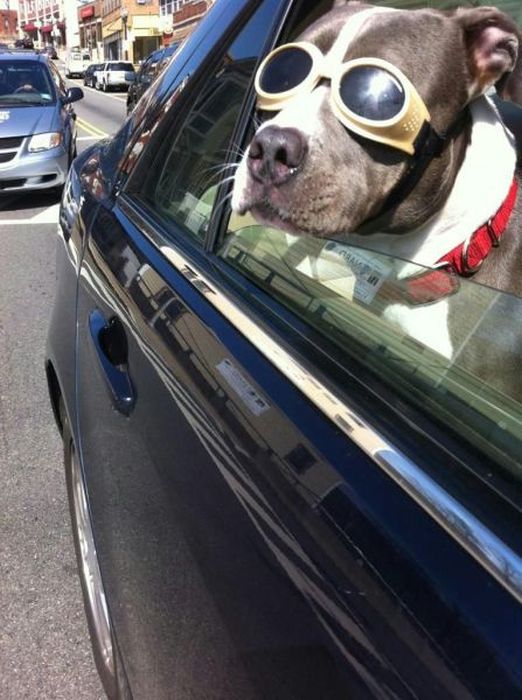 Acid Picdump (126 pics)