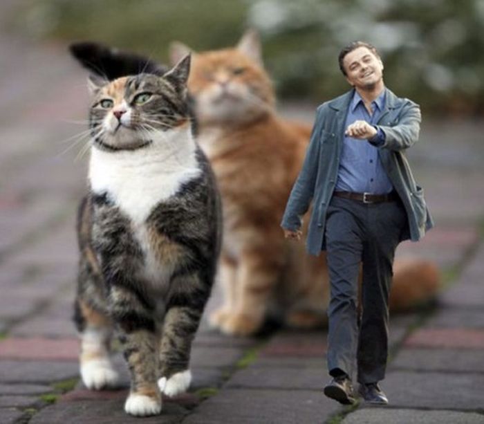 Acid Picdump (126 pics)