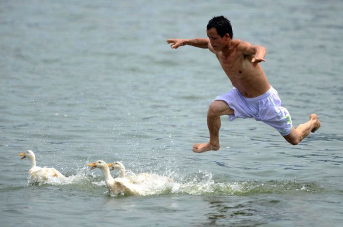 Acid Picdump (126 pics)