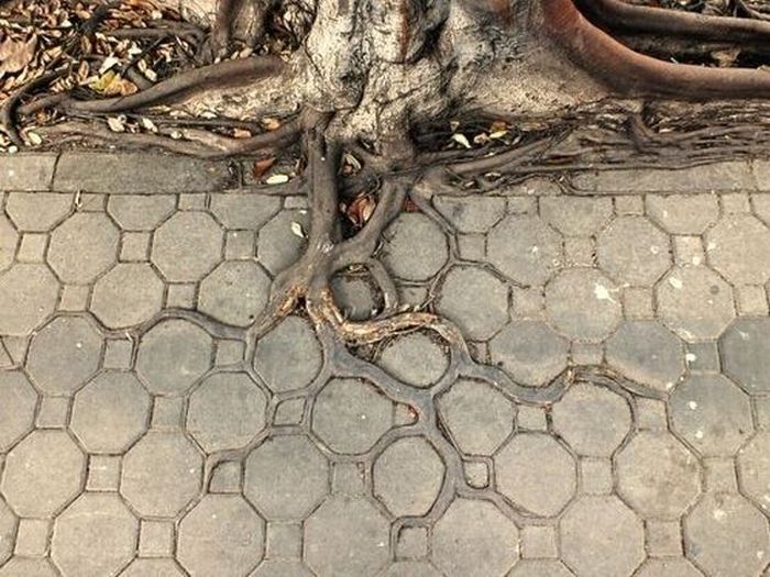 Acid Picdump (126 pics)
