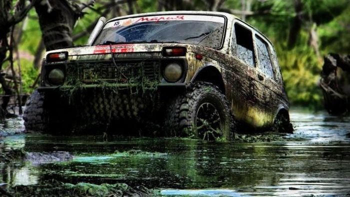 Acid Picdump (126 pics)