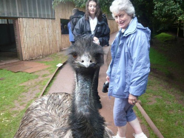 Acid Picdump (126 pics)