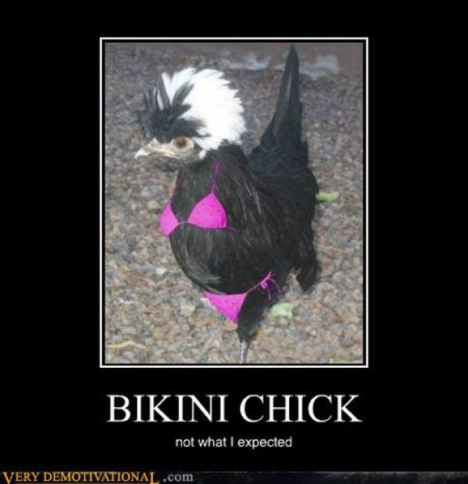 Funny Demotivational Posters (34 pics)