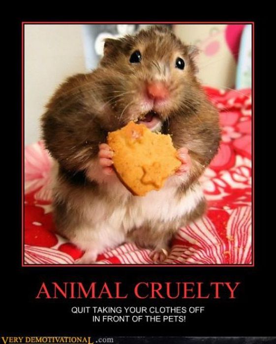 Funny Demotivational Posters (34 pics)