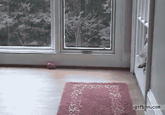 Acid Gifdump (11 gifs)
