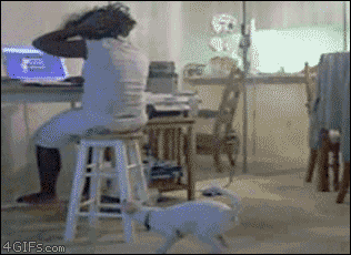 Acid Gifdump (11 gifs)