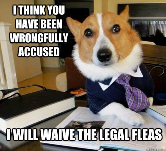 The Best Of The Lawyer Dog Meme (20 pics)