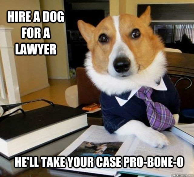 The Best Of The Lawyer Dog Meme (20 pics)