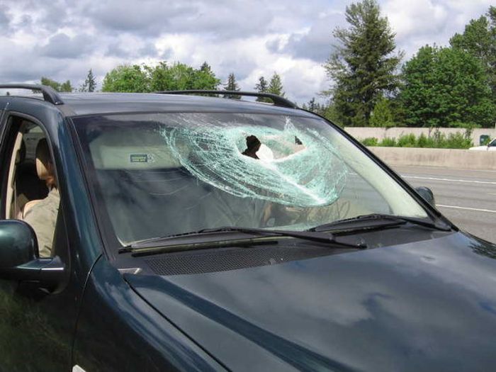 Lucky Couple Survived a Pickaxe Attack (10 pics)