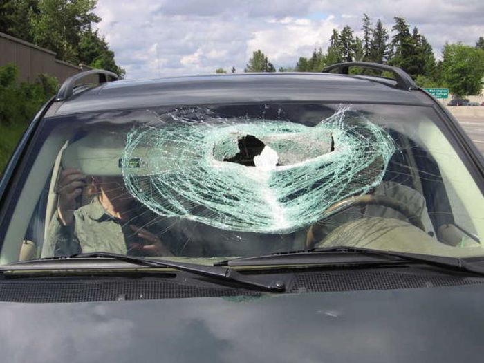 Lucky Couple Survived a Pickaxe Attack (10 pics)
