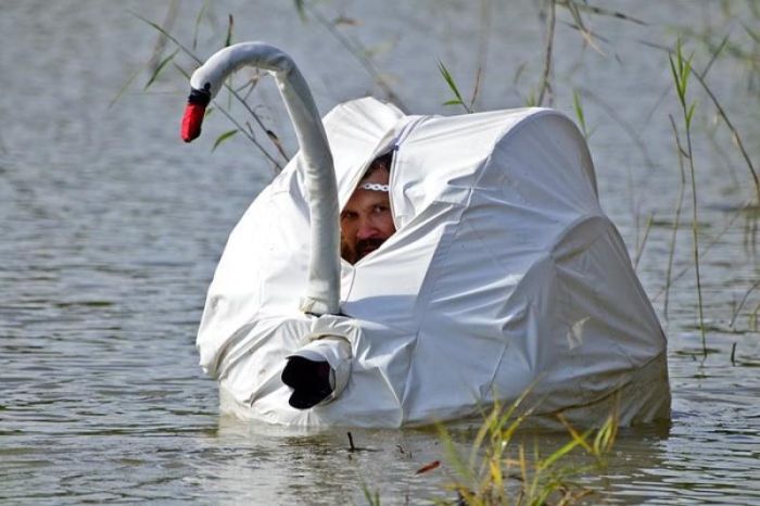 Acid Picdump (101 pics)
