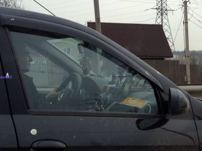 Acid Picdump (101 pics)