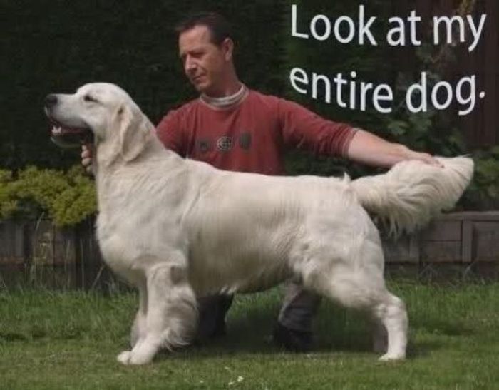 Acid Picdump (101 pics)