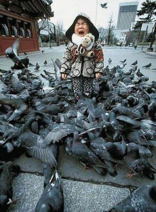 Acid Picdump (101 pics)
