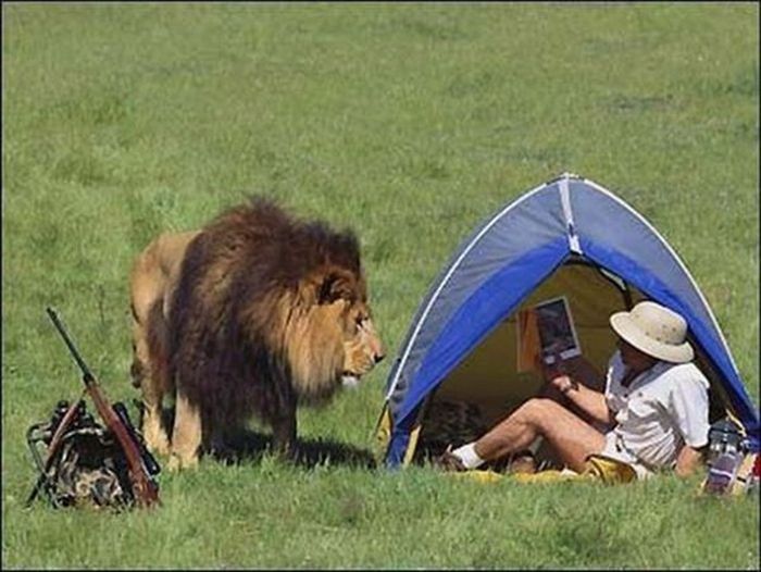 Acid Picdump (101 pics)
