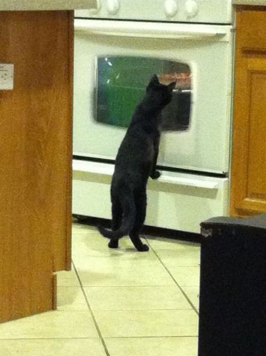 Acid Picdump (101 pics)