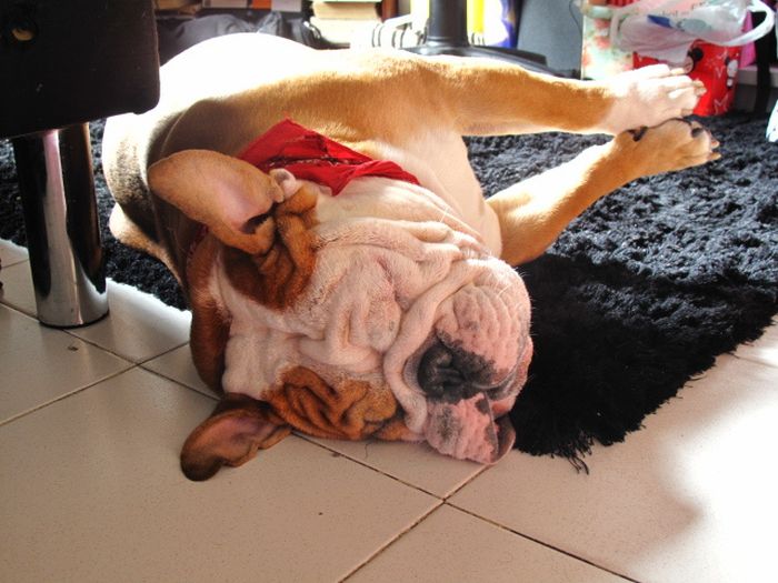 Acid Picdump (101 pics)