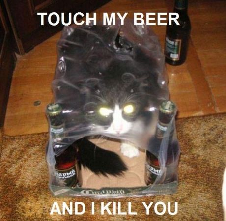 Acid Picdump (101 pics)