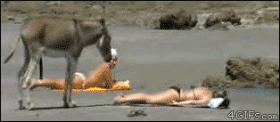 Acid Gifdump (10 gifs)