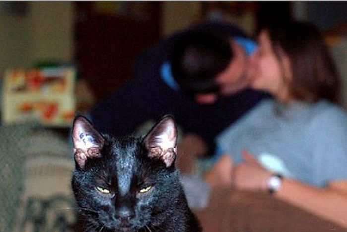 Hilarious Makeout Photobombs (33 pics)