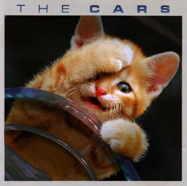 The Kitten Covers. Part 2 (37 pics)