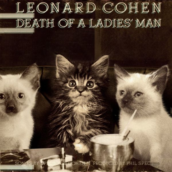The Kitten Covers. Part 2 (37 pics)
