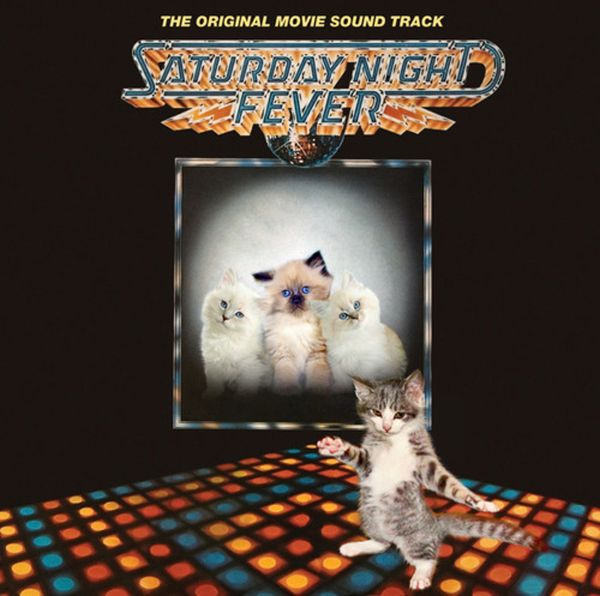 The Kitten Covers. Part 2 (37 pics)