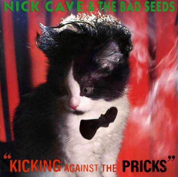 The Kitten Covers. Part 2 (37 pics)