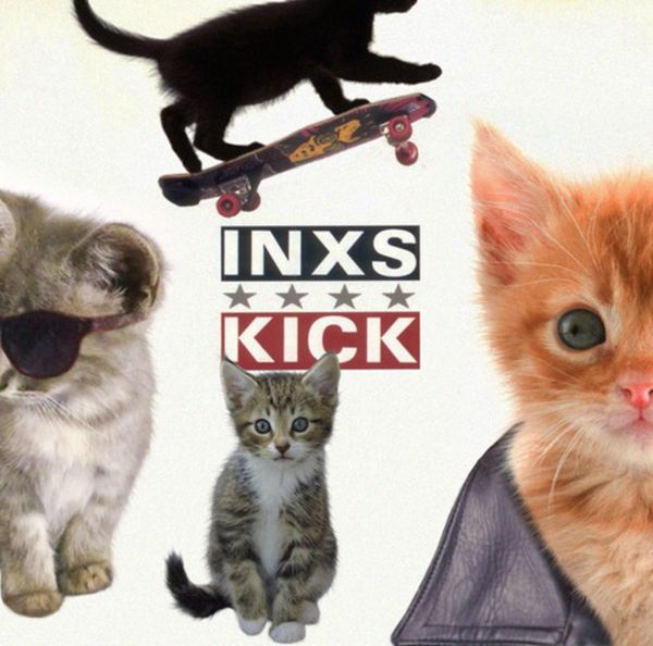The Kitten Covers. Part 2 (37 pics)