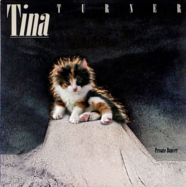 The Kitten Covers. Part 2 (37 pics)